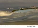 LY003637.jpg