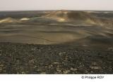 LY003638.jpg