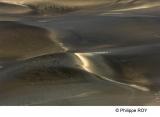 LY003640.jpg