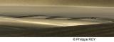 LY003701.jpg