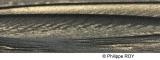 LY003702.jpg