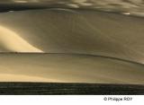 LY003710.jpg