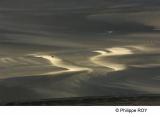 LY003714.jpg