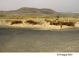 LY003725.jpg