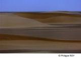 LY003740.jpg