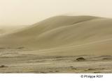 LY003806.jpg