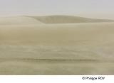 LY003808.jpg