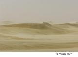 LY003813.jpg