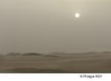 LY003814.jpg