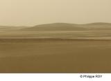 LY003815.jpg
