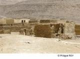 LY003927.jpg