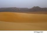 LY004014.jpg