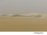 LY004016.jpg