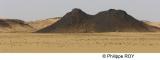 LY004037.jpg