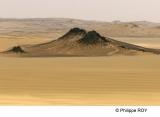 LY004123.jpg