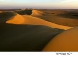 LY004231.jpg