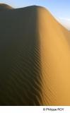 LY004302.jpg