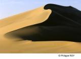 LY004316.jpg
