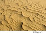 LY004329.jpg