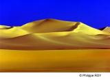LY004335.jpg