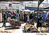 MA000426.jpg