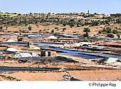 MA000505.jpg