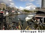NL000201.jpg