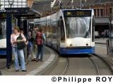 NL000207.jpg