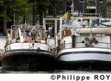NL000209.jpg