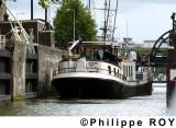 NL000223.jpg