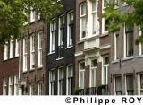 NL000225.jpg