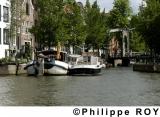 NL000237.jpg