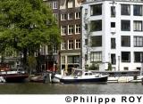 NL000301.jpg