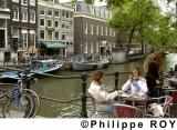 NL000408.jpg