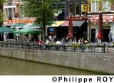 NL000409.jpg